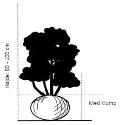 Nyankomne -Montoz Butik 103 med klump 80 100 cm d27b 2