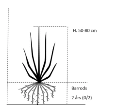 Nyankomne -Montoz Butik 241 barrods 2 aars 0 2 50 80 cm b8d8