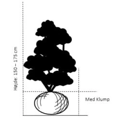 Nyankomne -Montoz Butik 363 med klump 150 175 cm 03e4 6