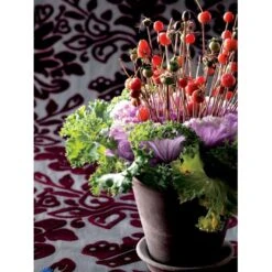 Broccoli 'Calabrese Natalino' Øko Brassica Oleracea 'Calabrese Natalino' Frøpose, Antal Pr. Pakke, Ca. 35 Stk. -Montoz Butik fi6062 brassica oleracea 5789