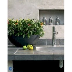 Chilipeber 'Lombardo' Capsicum Annuum 'Lombardo' Pose Med Frø Eller Løg, 5 -Montoz Butik fi918 capsicum annuum 24f5