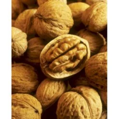 Almindelig Valnød Juglans Regia Heister 200-250 Cm. Med Potte -Montoz Butik p1165 8160 juglans regia 734d