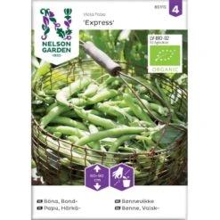 Valskbønne 'Express' Øko Vicia Faba 'Express' Frøpose, Antal Pr. Pakke, Ca. 13 Stk.