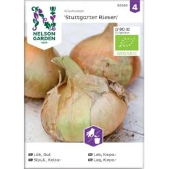 Kepaløg 'Stuttgarter Riesen' Øko Allium Cepa 'Stuttgarter Riesen' Frøpose, Antal Pr. Pakke, Ca. 100 Stk.