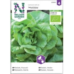 Hovedsalat 'Matilda' Øko Lactuca Sativa 'Matilda' Frøpose, Antal Pr. Pakke, Ca. 30 Stk.