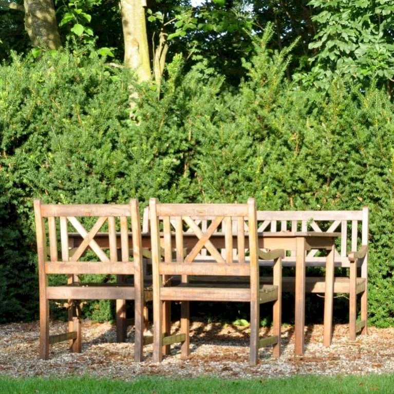 Taks 'Hillii' Taxus Media 'Hillii' Med Klump,- 40-50 Cm. 3 Taks 'Hillii' Taxus Media 'Hillii' Med Klump,- 40-50 Cm.