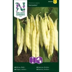 Snittebønne 'Serpedor' Phaseolus Vulgaris 'Serpedor'