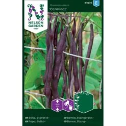 Stangbønne 'Carminat' Phaseolus Vulgaris 'Carminat'