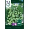 Jungel Agurk Melothria Scabra -Montoz Butik p33629 36995 melothria scabra 58ac