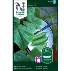 Skoleagurk 'Baby' F1 Cucumis Sativus 'Baby' F1