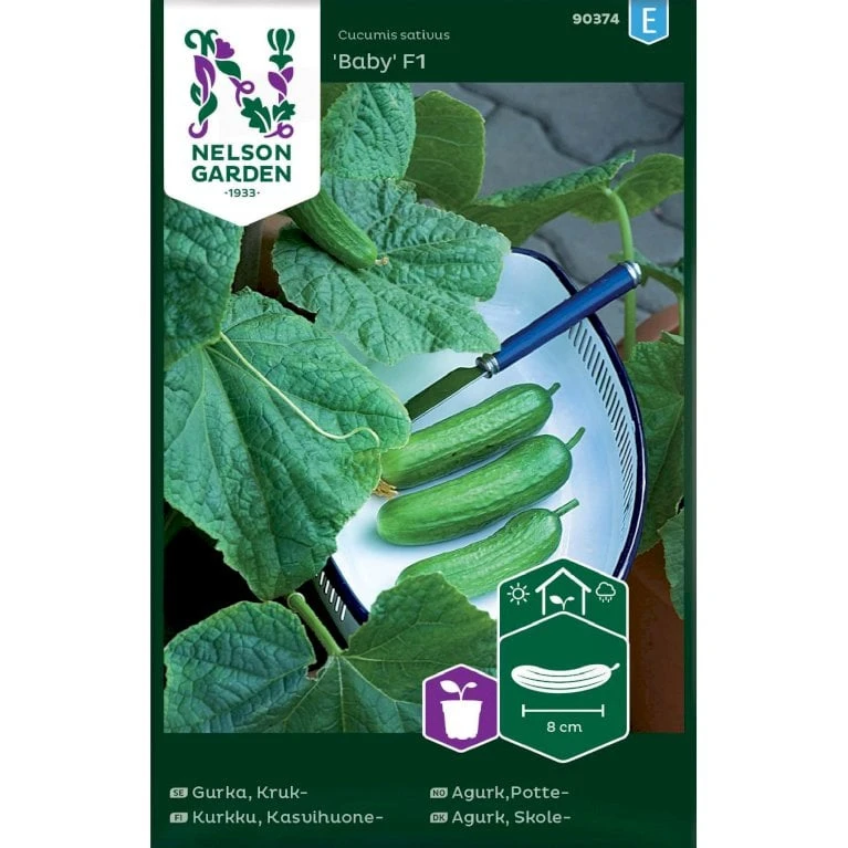 Skoleagurk 'Baby' F1 Cucumis Sativus 'Baby' F1 3 Skoleagurk 'Baby' F1 Cucumis Sativus 'Baby' F1