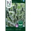Miniagurk 'Hopeline' F1 Cucumis Sativus 'Hopeline' F1 -Montoz Butik p33645 37003 cucumis sativus hopeline f1 e90e