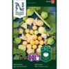 Ananaskirsebær Physalis Grisea 2 Ananaskirsebær Physalis Grisea -Montoz Butik p33646 37019 physalis grisea 8b19