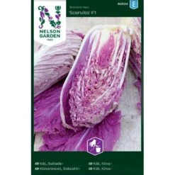 Kinakål 'Scarvita' F1 Brassica Rapa 'Scarvita' F1