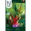 Bladbede 'Rhubarb Chard' Beta Vulgaris 'Rhubarb Chard' -Montoz Butik p33686 37119 beta vulgaris rhubarb chard 7504