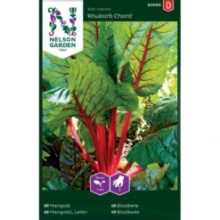Bladbede 'Rhubarb Chard' Beta Vulgaris 'Rhubarb Chard'