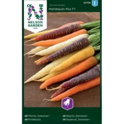 Sommergulerod 'Harlequin Mix' F1 Daucus Carota L 'Harlequin Mix' F1