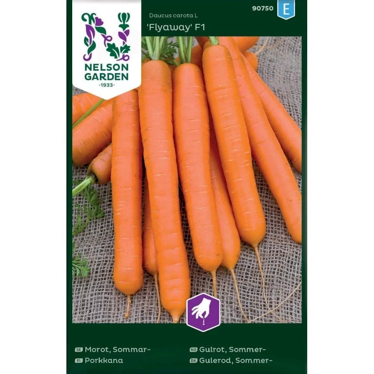 Sommergulerod 'Flyaway' F1 Daucus Carota L 'Flyaway' F1 3 Sommergulerod 'Flyaway' F1 Daucus Carota L 'Flyaway' F1