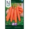 Sommergulerod 'Nantaise 2' Såbånd Daucus Carota L 'Nantaise 2' -Montoz Butik p33699 37131 daucus carota l nantaise 2 5805