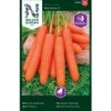 Sommergulerod 'Nantaise 2' Pellets Daucus Carota L 'Nantaise 2' 2 Sommergulerod 'Nantaise 2' Pellets Daucus Carota L 'Nantaise 2' -Montoz Butik p33700 37132 daucus carota l nantaise 2 f3ba