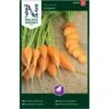 Gulerod, Sommer-, Oxheart Daucus Carota L 'Oxheart' 2 Gulerod, Sommer-, Oxheart Daucus Carota L 'Oxheart' -Montoz Butik p33705 37133 daucus carota l oxheart 896b