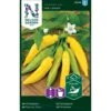 Ajíchili 'Hot Lemon' Capsicum Baccatum 'Hot Lemon' -Montoz Butik p33722 37039 capsicum baccatum hot lemon 8cbe