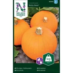 Mandelgræskar 'Baby Bear' Cucurbita Pepo 'Baby Bear'