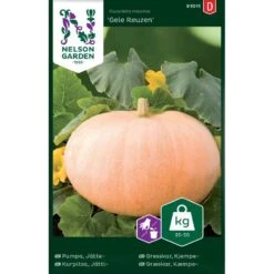 Centnergræskar 'Gele Reuzen' Cucurbita Maxima 'Gele Reuzen'