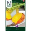 Rødbede 'Burpees Golden' Beta Vulgaris 'Burpees Golden'