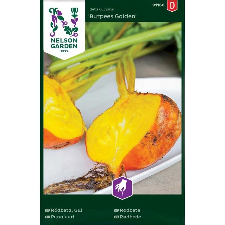Rødbede 'Burpees Golden' Beta Vulgaris 'Burpees Golden' 3 Rødbede 'Burpees Golden' Beta Vulgaris 'Burpees Golden'