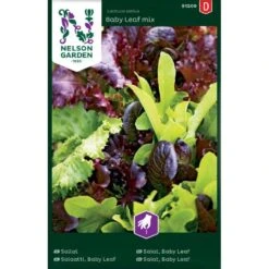 Salat 'Baby Leaf Mix' Lactuca Sativa 'Baby Leaf Mix'