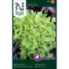 Pluksalat 'Salad Bowl' Lactuca Sativa 'Salad Bowl'