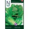 Romainesalat 'Lobjoits Green Cos' Lactuca Sativa 'Lobjoits Green Cos' -Montoz Butik p33777 37169 lactuca sativa lobjoits green cos 9bcc