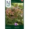 Pluksalat 'New Red Fire' Lactuca Sativa 'New Red Fire' -Montoz Butik p33778 37170 lactuca sativa new red fire c016