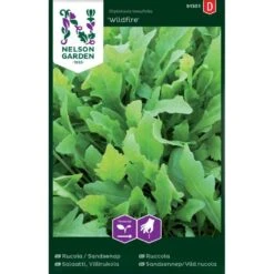 Vild Rucola 'Wildfire' Diplotaxis Tenufolia 'Wildfire'