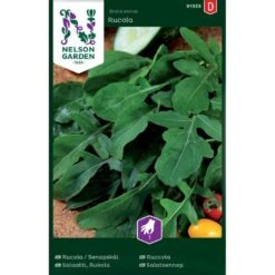 Rucola Eruca Sativa Rucola