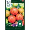 Tomat 'Tigerella' Solanum Lycopersicum 'Tigerella' -Montoz Butik p33817 37034 solanum lycopersicum tigerella 9e34