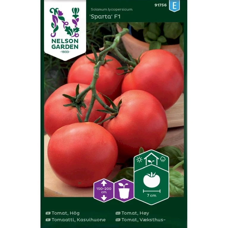 Tomat 'Sparta' F1 Solanum Lycopersicum 'Sparta' F1 3 Tomat 'Sparta' F1 Solanum Lycopersicum 'Sparta' F1