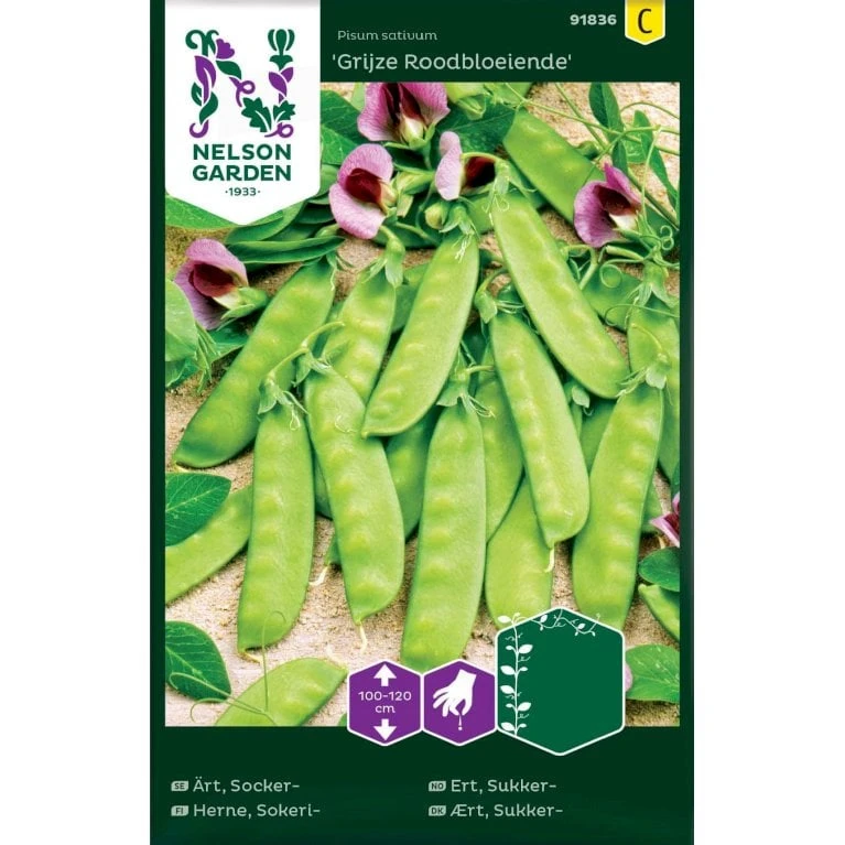 Ært, Sukker-, Høj, Grijze Roodbloeiende Pisum Sativum 'Grijze Roodbloeiende' 3 Ært, Sukker-, Høj, Grijze Roodbloeiende Pisum Sativum 'Grijze Roodbloeiende'