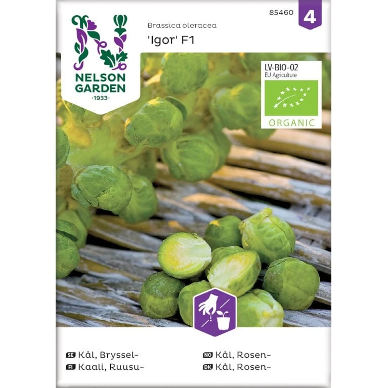 Rosenkål 'Igor' F1 Øko Brassica Oleracea 'Igor' F1 Frøpose, Antal Pr. Pakke, Ca. 20 Stk. 3 Rosenkål 'Igor' F1 Øko Brassica Oleracea 'Igor' F1 Frøpose, Antal Pr. Pakke, Ca. 20 Stk.