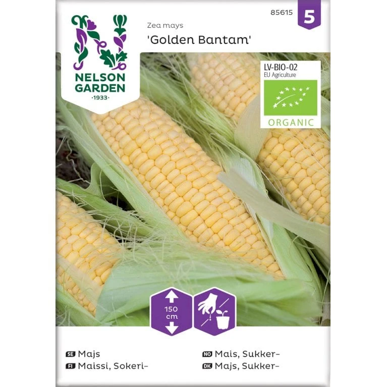 Sukkermajs 'Golden Bantam' Øko Zea Mays 'Golden Bantam' Frøpose, Antal Pr. Pakke, Ca. 10 Stk. 3 Sukkermajs 'Golden Bantam' Øko Zea Mays 'Golden Bantam' Frøpose, Antal Pr. Pakke, Ca. 10 Stk.