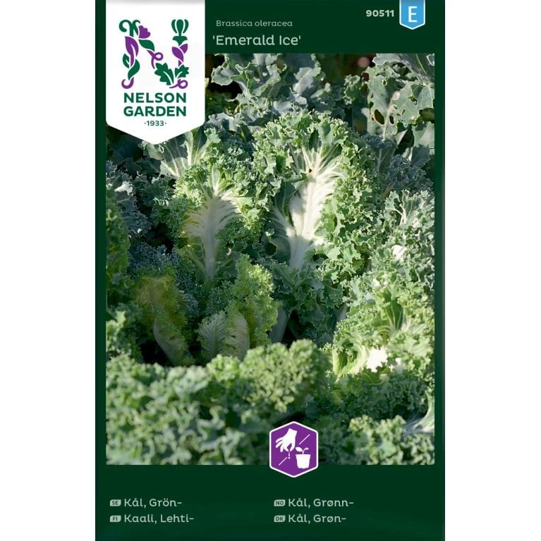 Grønkål 'Emerald Ice' Brassica Oleracea 'Emerald Ice' 3 Grønkål 'Emerald Ice' Brassica Oleracea 'Emerald Ice'