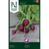 Radise 'Amethyst' Raphanus Sativus 'Amethyst' -Montoz Butik p34612 30155 raphanus sativus d471