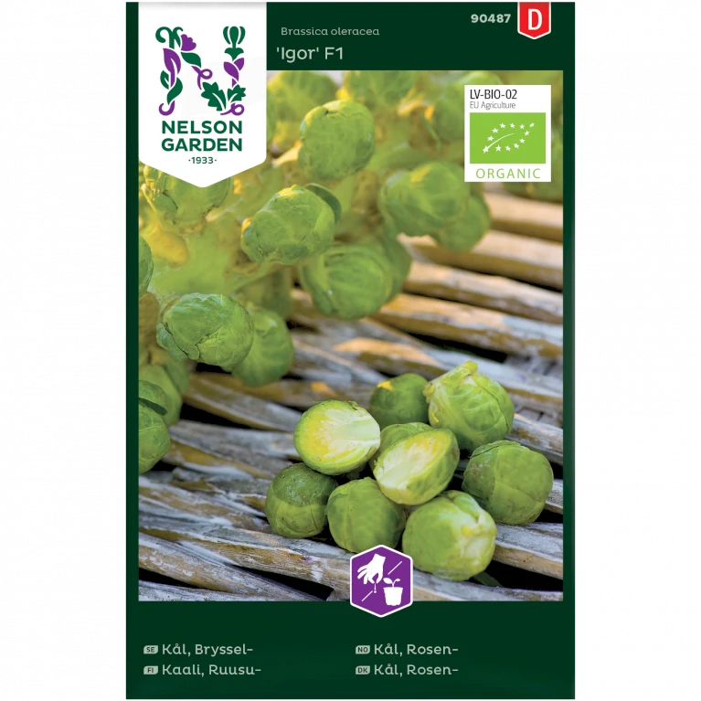 Rosenkål 'Igor' F1 Brassica Oleracea 'Igor' F1 3 Rosenkål 'Igor' F1 Brassica Oleracea 'Igor' F1