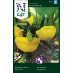 Græskar 'Sunseanse' F1 Cucurbita Pepo 'Sunseanse' F1