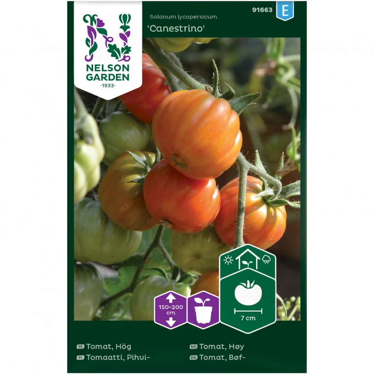 Bøftomat 'Canestrino' Solanum Lycopersicum 'Canestrino' 3 Bøftomat 'Canestrino' Solanum Lycopersicum 'Canestrino'