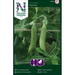 Slikært 'Nairobi' Pisum Sativum 'Nairobi'