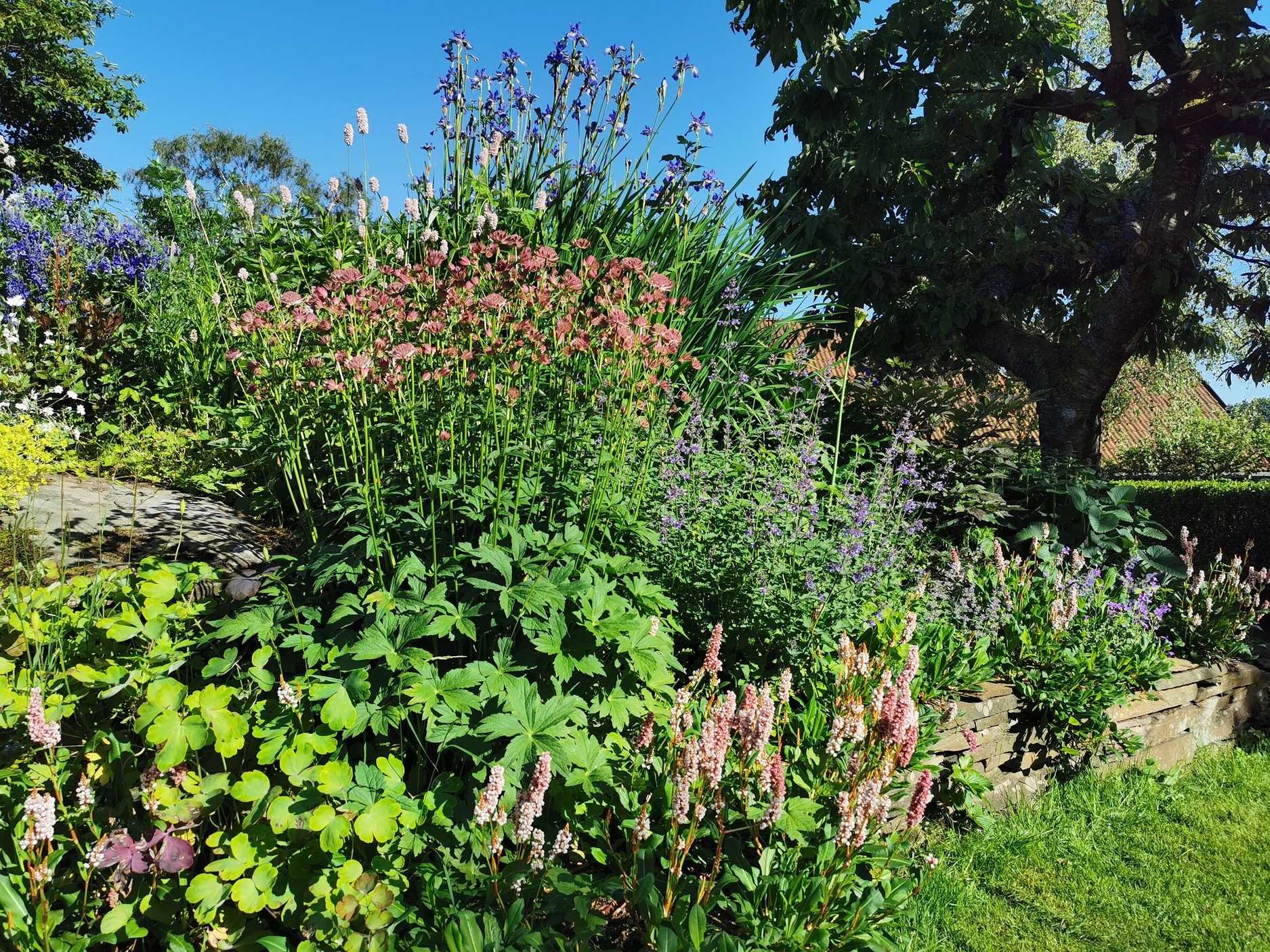 Montoz Butik -Montoz Butik IMG 20210623 180400 transformed