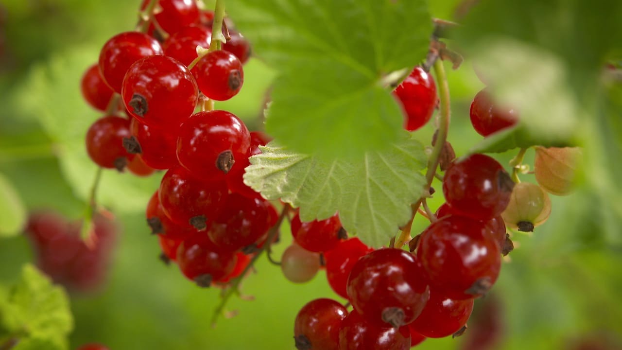 Montoz Butik -Montoz Butik img